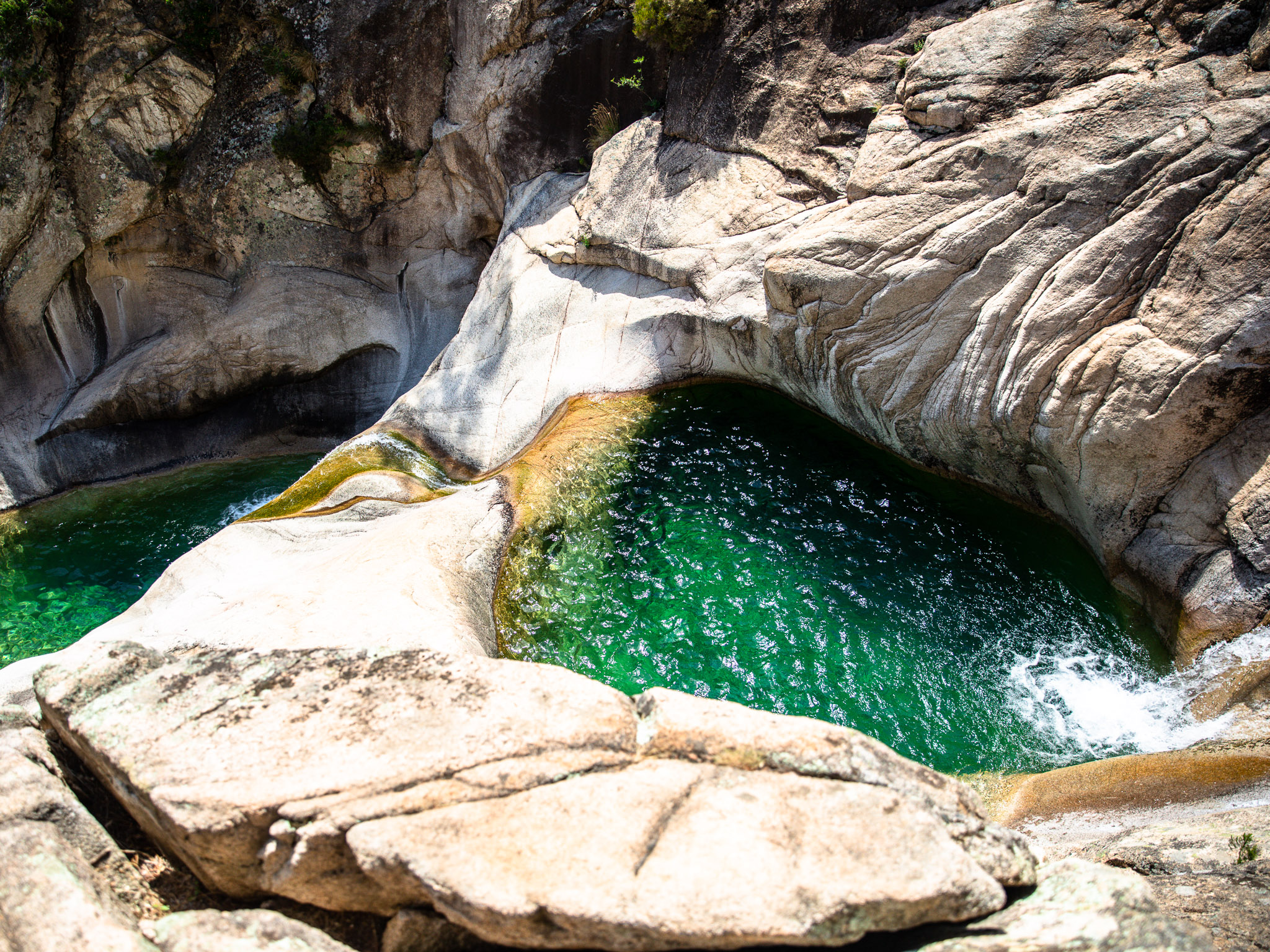 Îles Lavezzi — eau turquoise